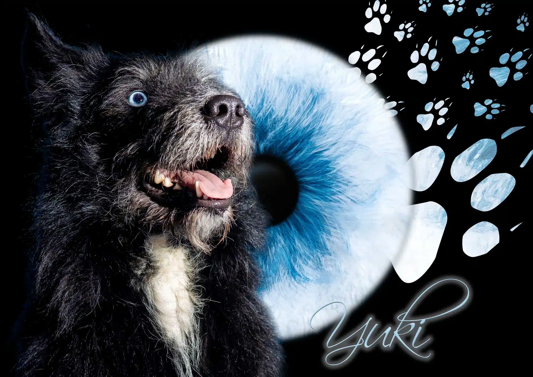 Iris Fotografie Yuki Iris Fotografie Yuki